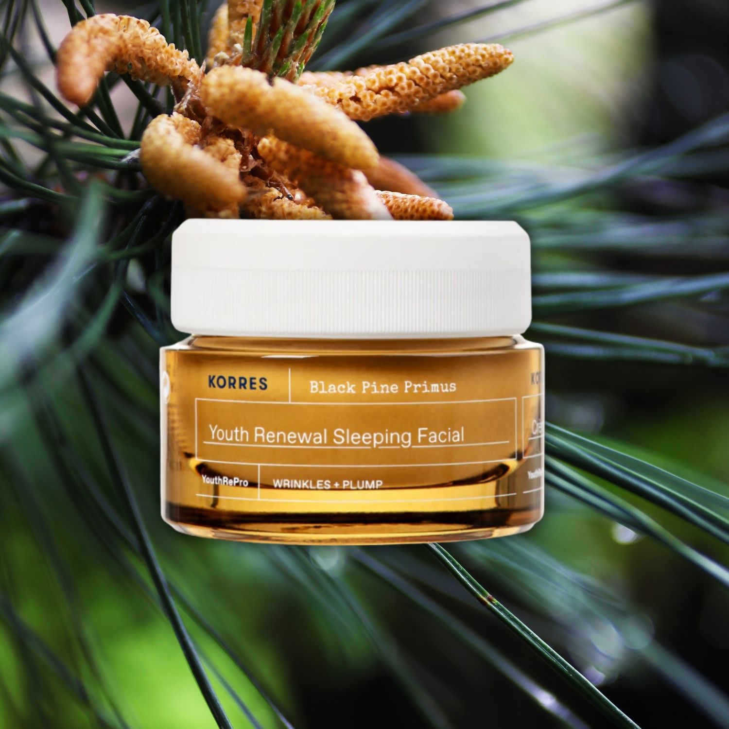 Korres Black Pine Primus Youth Renewal Sleeping Facial 40ml