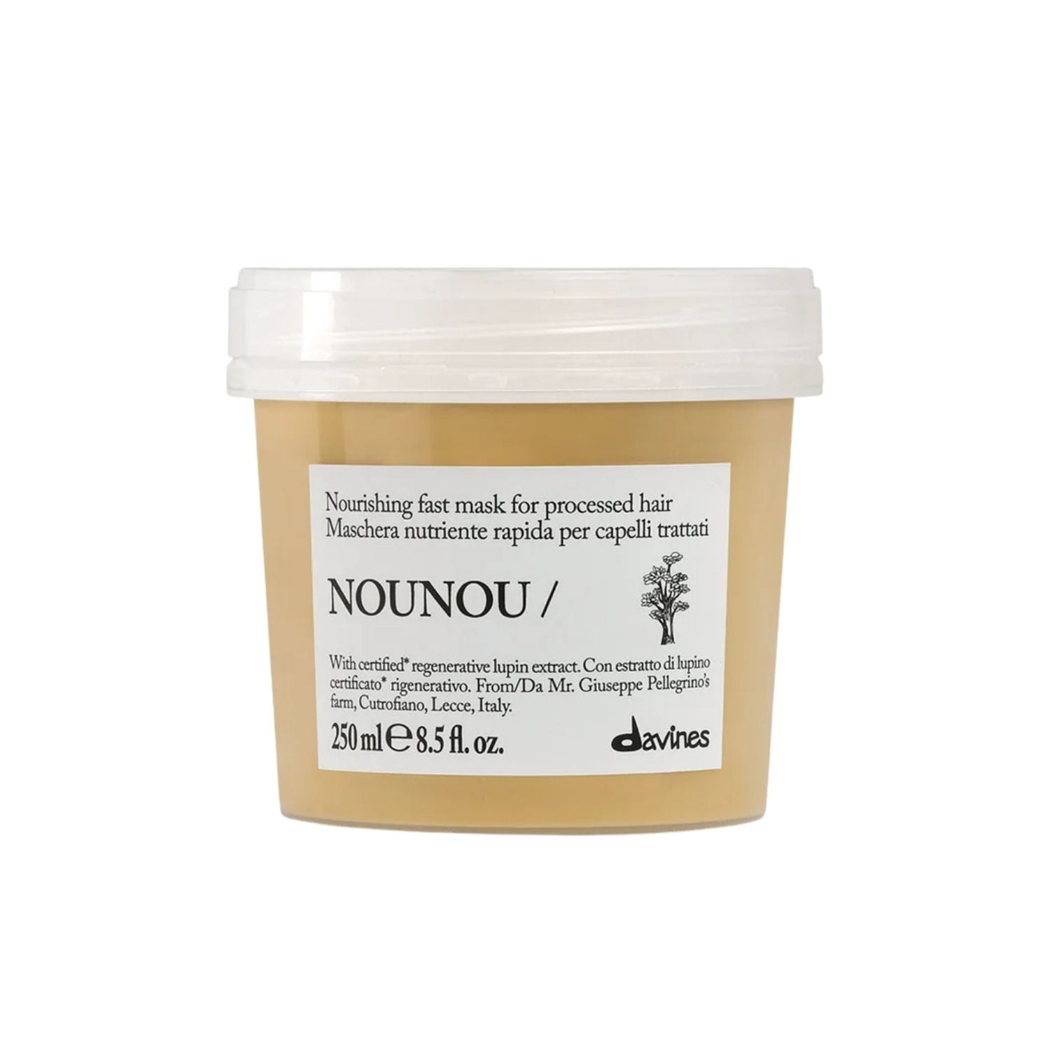 Davines NOUNOU Hair Mask 250ml